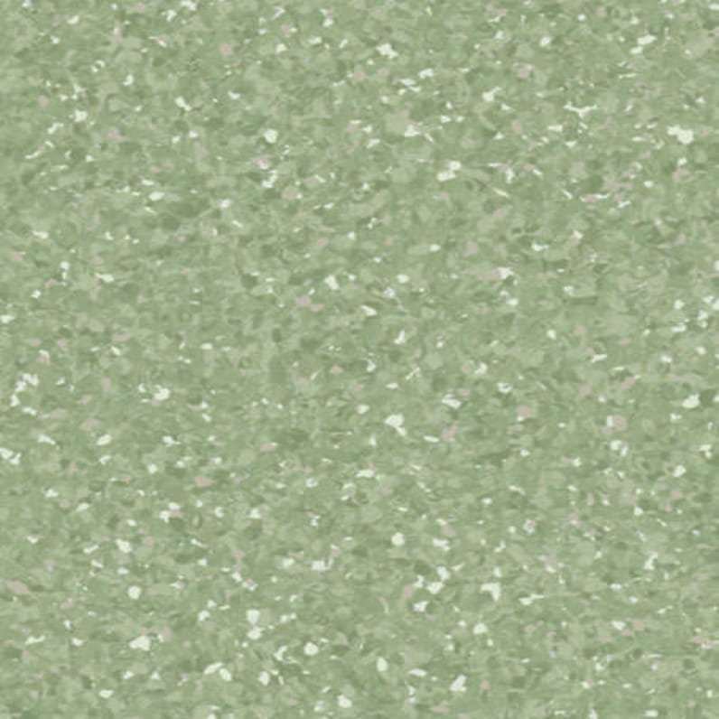 Medium Green 21010 680