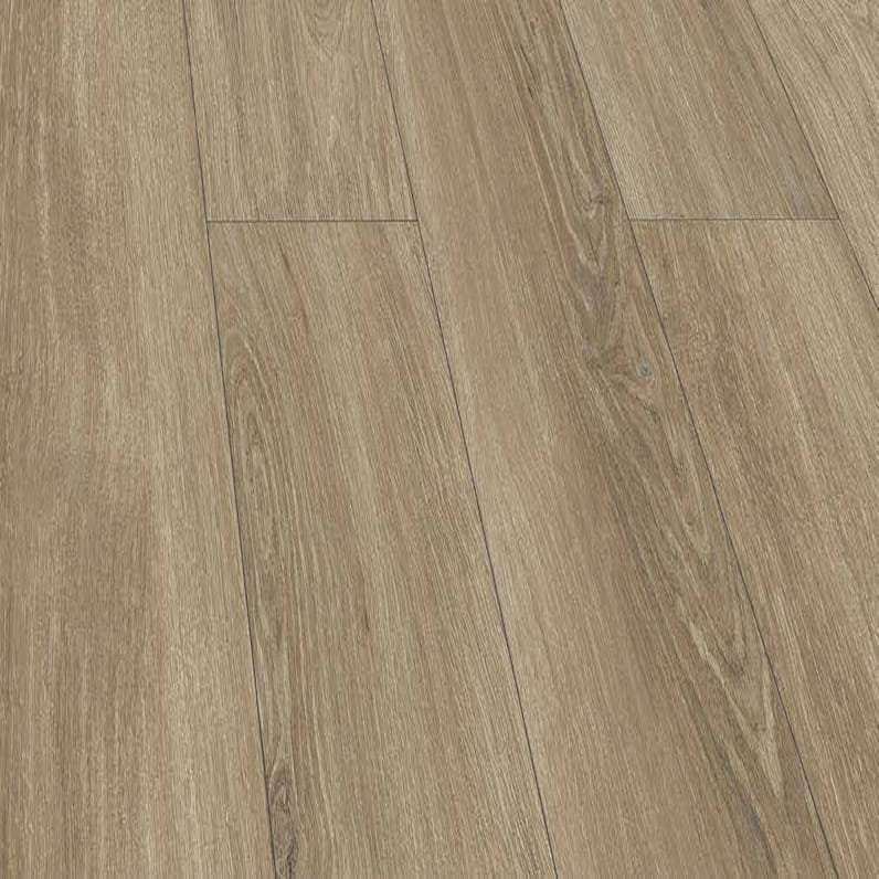 P6001 Tuscon Oak