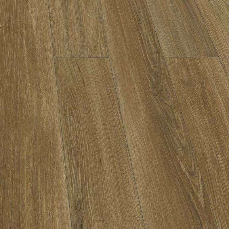 P6003 Clam Oak