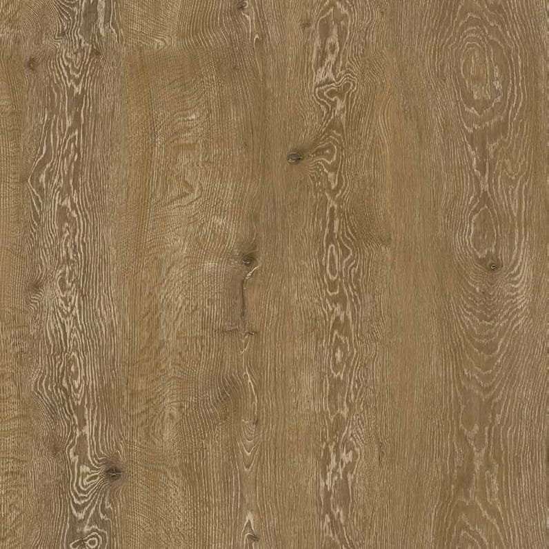 Revealed Oak Oat MS04216