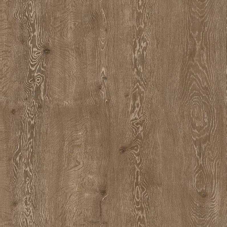 Revealed Oak Slit MS040219