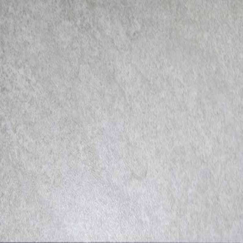 Sandstone Oyster - 48813