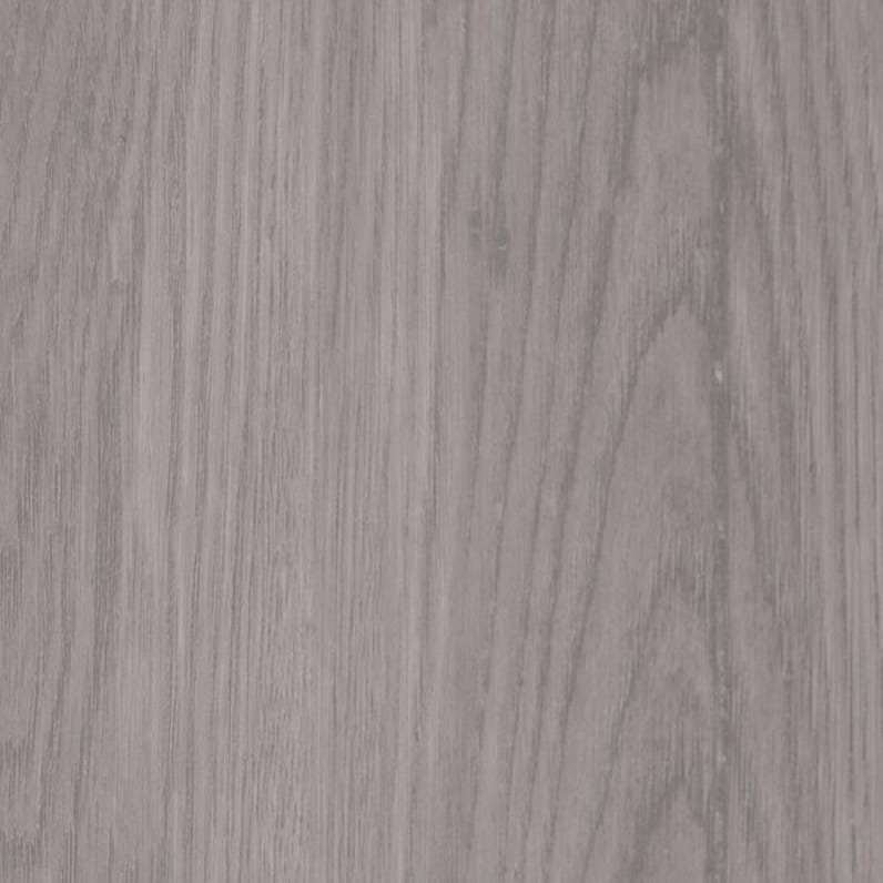 Southern Hickory White - 100211