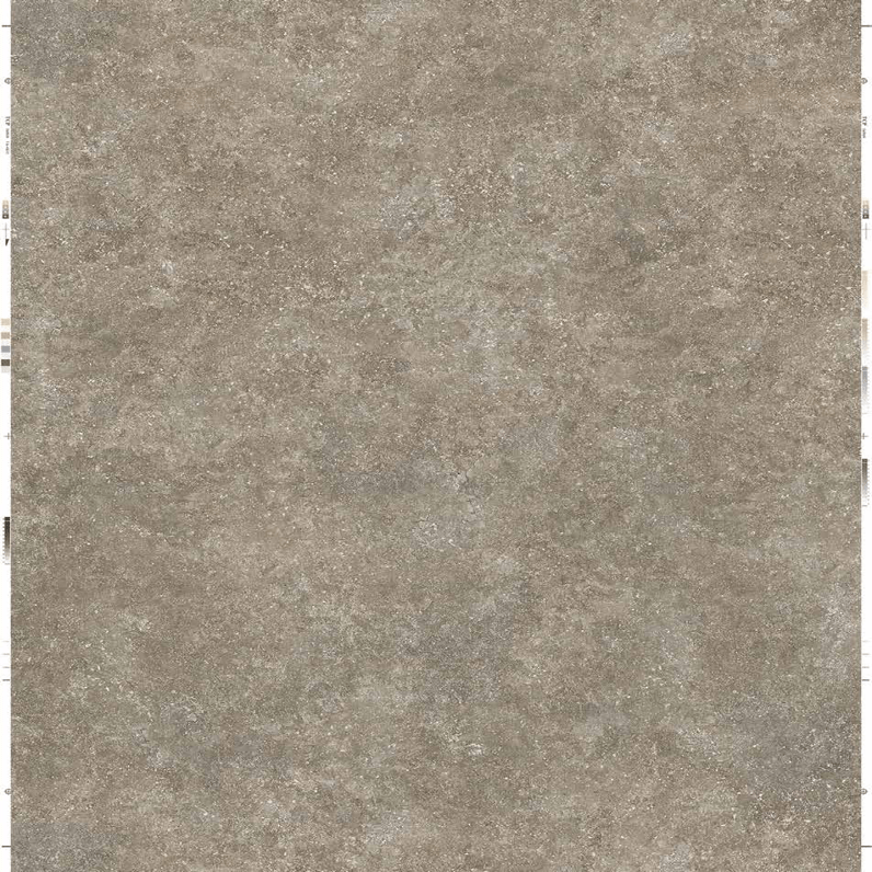 Starry Night Cepheus MS442107