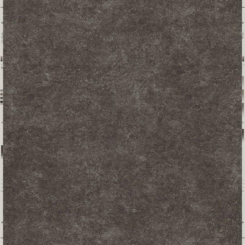 Starry Night Polaris MS442110