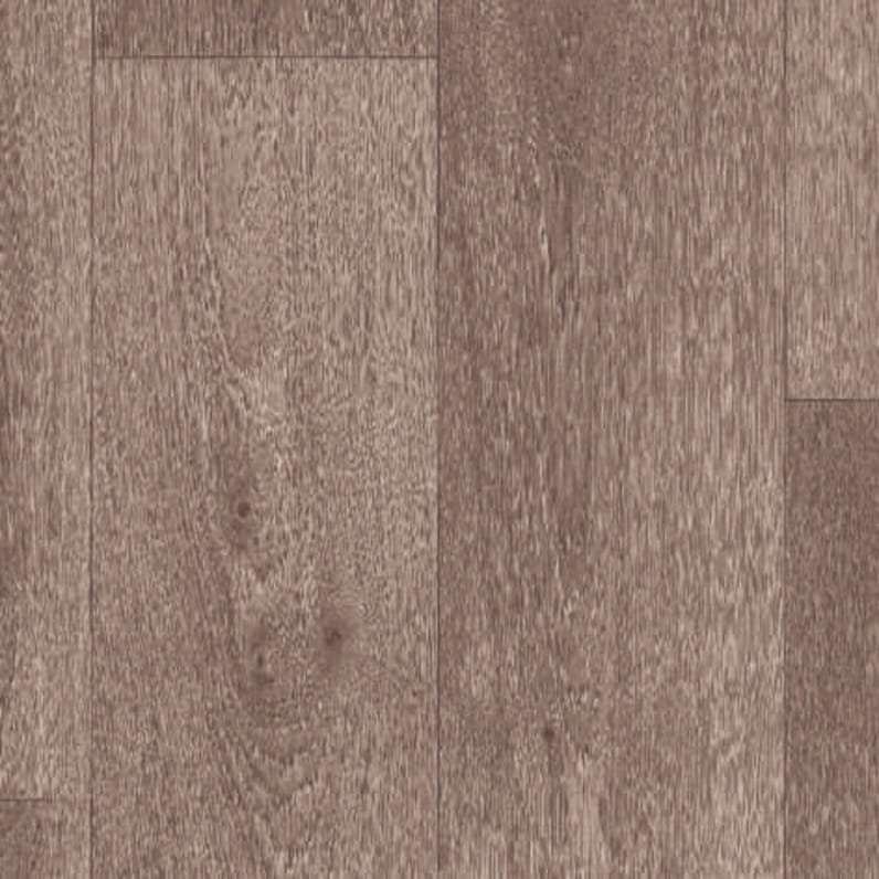 Swan Grey 5208280