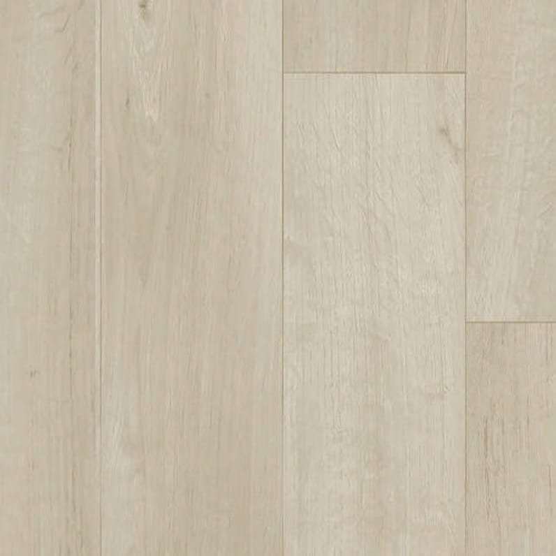 White Grey 25148007