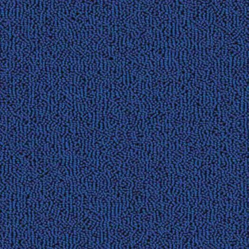 Bluebird 654 blue