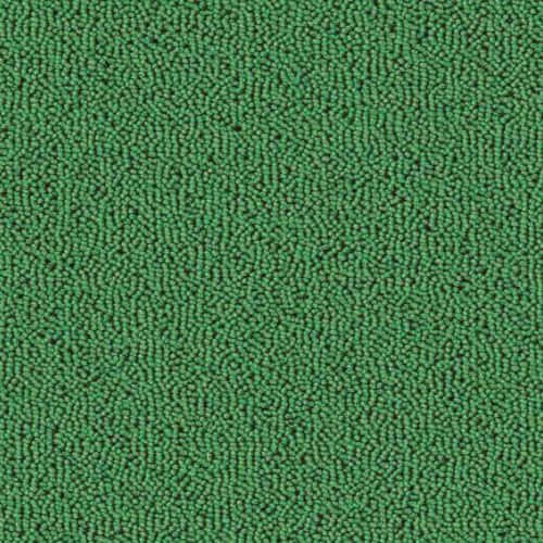 Bluebird 665 Lime
