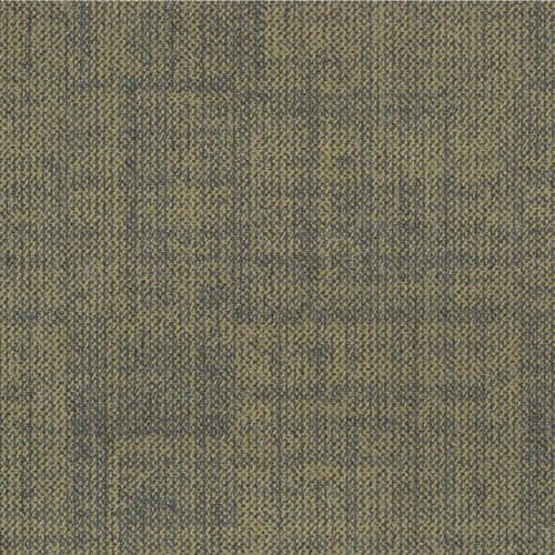 MANTRA 29 Moss