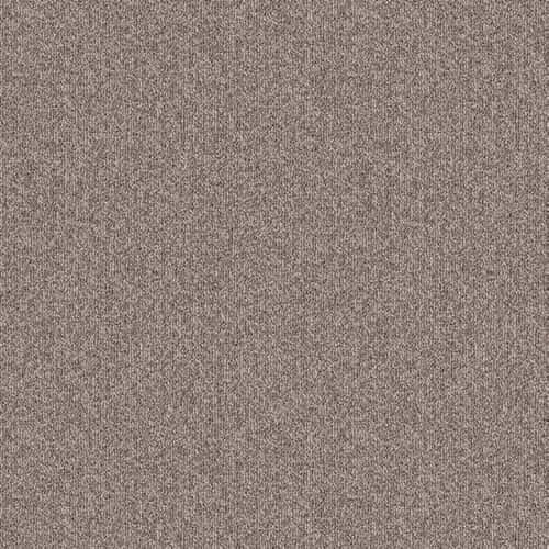 PH 204