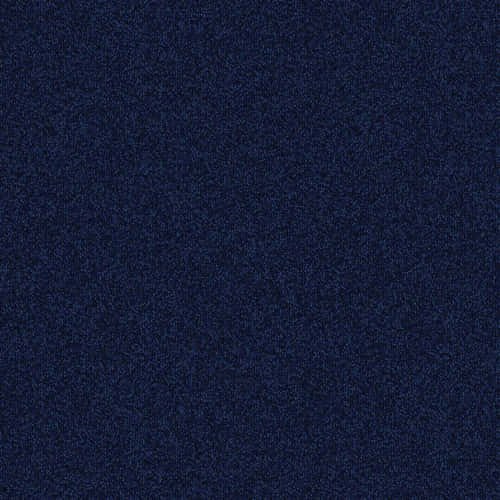 PH 205