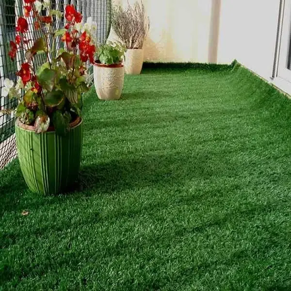 Best lobby artificial grass Flooring in Dubai