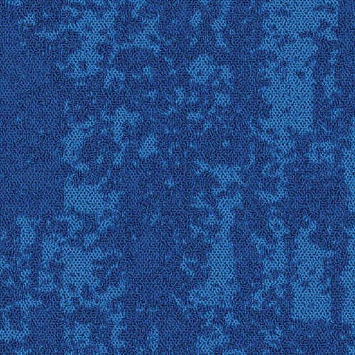 blue 555