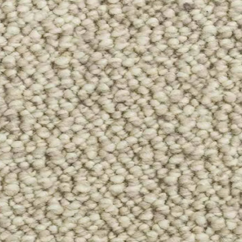 Dune 276
