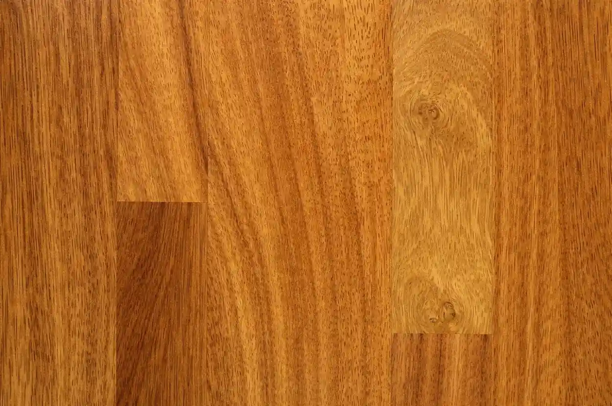 KEMAPAS REGAL CLASSIC