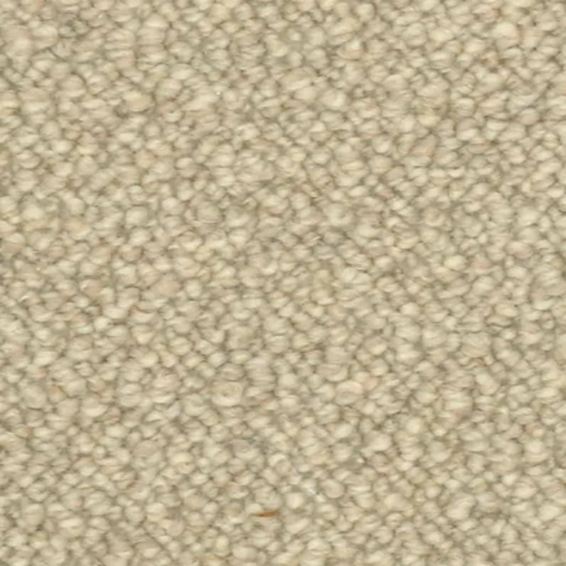 Llama 107