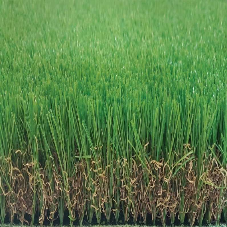 Tekgrass 50c