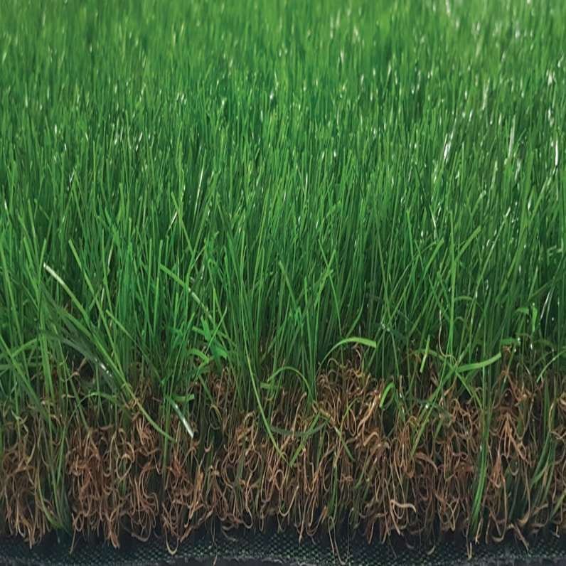 Tekgrass 60 s