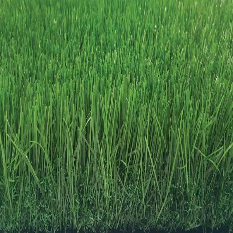 Tekgrass 60gg